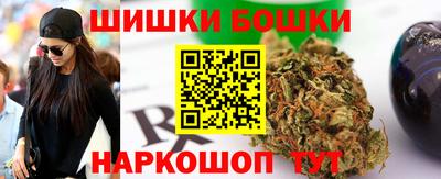 дмт Камышлов