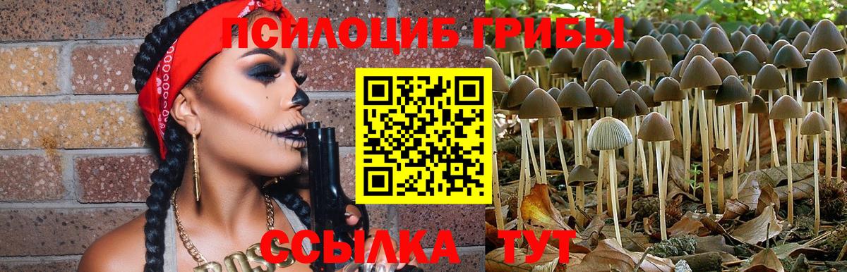 Галлюциногенные грибы прущие грибы Кирово-Чепецк