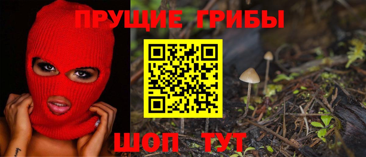 как найти закладки  Галлюциногенные грибы мицелий  Вход с VPN  Галлюциногенные грибы Psilocybe  Кирово-Чепецк 